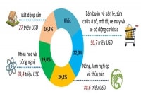 Hạn chế đầu tư ra nước ngoài:p/Bước lùi hội nhập