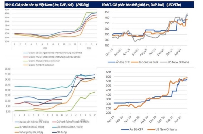 Giá phân bón trong nước so với một số nước trên thế giới (Nguồn: Agromonitor, Bloomberg, Mirae Asset Vietnam Research).