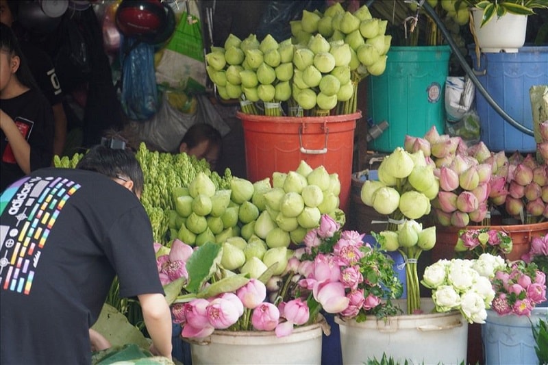 Theo cách tính thuế và giá bán hiện hành thì vài ngày mới bán được một bó hoa đã phải chịu thuế (ảnh: Chợ Hoa Đầm Sen trước thời gian giãn cách)