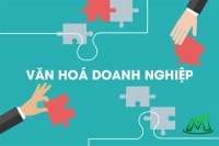 Startup và bài toán xây dựng văn hóa doanh nghiệp