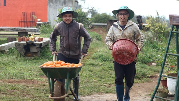 Hai tình nguyện viên trẻ ở Orfarm (Kon Tum) - mô hình farmstay trồng cam canh không thuốc hóa học - Ảnh: NoDa