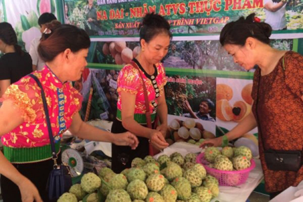 Chương trình nhằm thu hẹp khoảng cách chênh lệch giữa các vùng miền; đóng góp tích cực vào phát triển kinh tế-xã hội, nâng cao thu nhập của người dân, bảo đảm an ninh quốc phòng ở miền núi, vùng sâu, vùng xa và hải đảo.