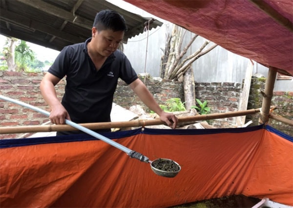 Anh Nguyễn Văn Sáu chăm sóc ốc tại cánh đồng Nà Đao, thôn Bản Cáu, xã Đồng Thắng, huyện Chợ Đồn, tỉnh Bắc Kạn. Ảnh: Tâm Tình.