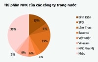 Sáp nhập DPM và DCM:p/Lộ diện doanh nghiệp dẫn đầu thị trường Urea