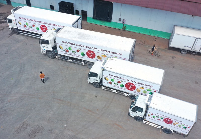 p/Xe chở hoa quả của Công ty TNHH Thương mại dịch vụ XNK Vina T&T thường xuyên phải nằm chờ.
