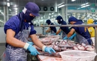 VASEP đề nghị xây dựng bộ quy tắc thực hiện “y tế tại chỗ”