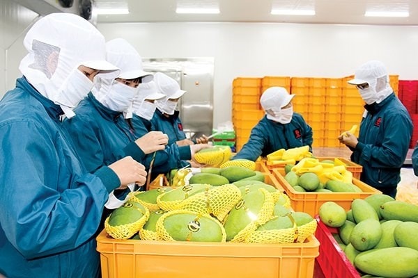 Nông sản
