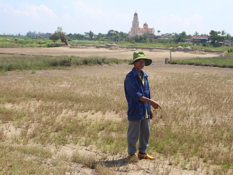 Nghề muối truyền thống đang đứng trước nguy cơ bị mai một do diêm dân không sống được với nghề