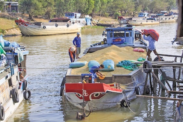 các thương nhân e ngại việc ký kết hợp đồng mới do tình trạng ách tắc trong lưu thông và giao nhận tại các cảng biển.