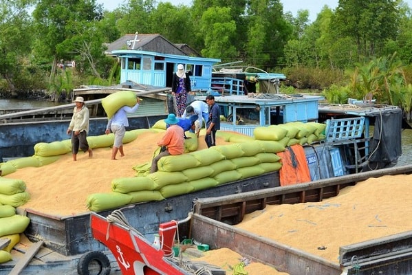 Bộ Công Thương cũng kiến nghị Thủ tướng Chính phủ xem xét giao Bộ Giao thông vận tải chủ trì, phối hợp với các Bộ, ngành liên quan làm việc với Tổng Công ty Tân Cảng Sài Gòn để sớm mở lại tất cả các máng đóng rút gạo trong thời gian sớm nhất nhằm giảm bớt tình trạng ùn tắc container xuất khẩu gạo và cân nhắc về phí phụ thu để tạo thuận lợi cho xuất khẩu trong bối cảnh dịch COVID-19 do bến này là một trong những bến chính chuyên đóng hàng gạo bằng container.