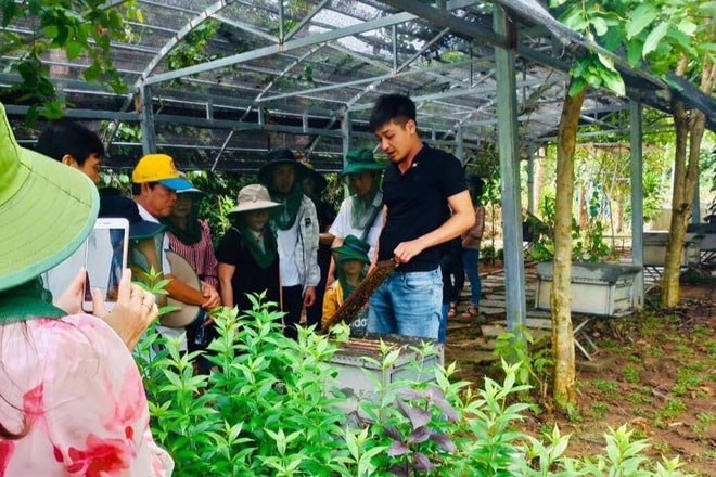 Anh Lê Văn Ngọc giới thiệu cho du khách về mô hình nuôi ong lấy mật, thời điểm trước khi dịch Covid-19 bùng phát.