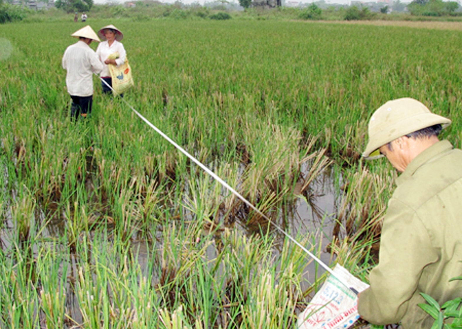  Không theo các nguyên tắc thị trường thì rất khó tích tụ, tập trung ruộng đất dành cho những dự án có hiệu quả cao nhất. (Tiểu ban dồn điền, đổi thửa xã Ninh Vân, Ninh Bình đo diện tích thực địa tại cánh đồng Chệ Bái. Ảnh: Minh Đường) 