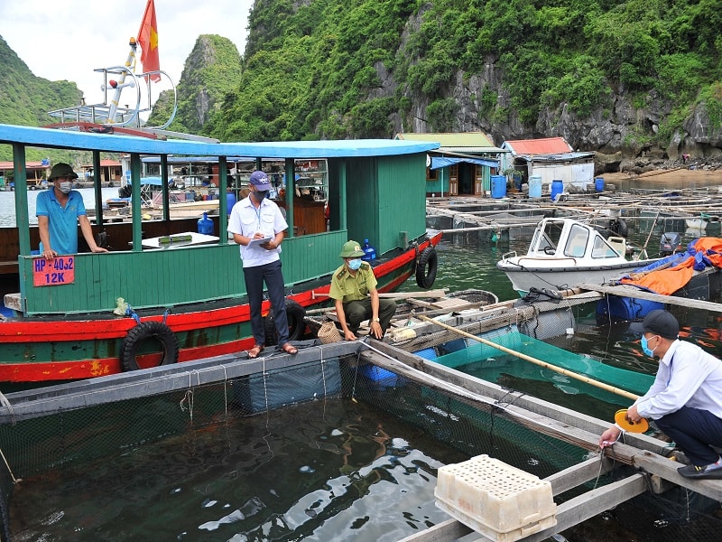 Cán bộ huyện Cát Hải đi kiểm đếm, lập phương án hỗ trợ, tháo dỡ cơ sở nuôi trồng tuỷ sản