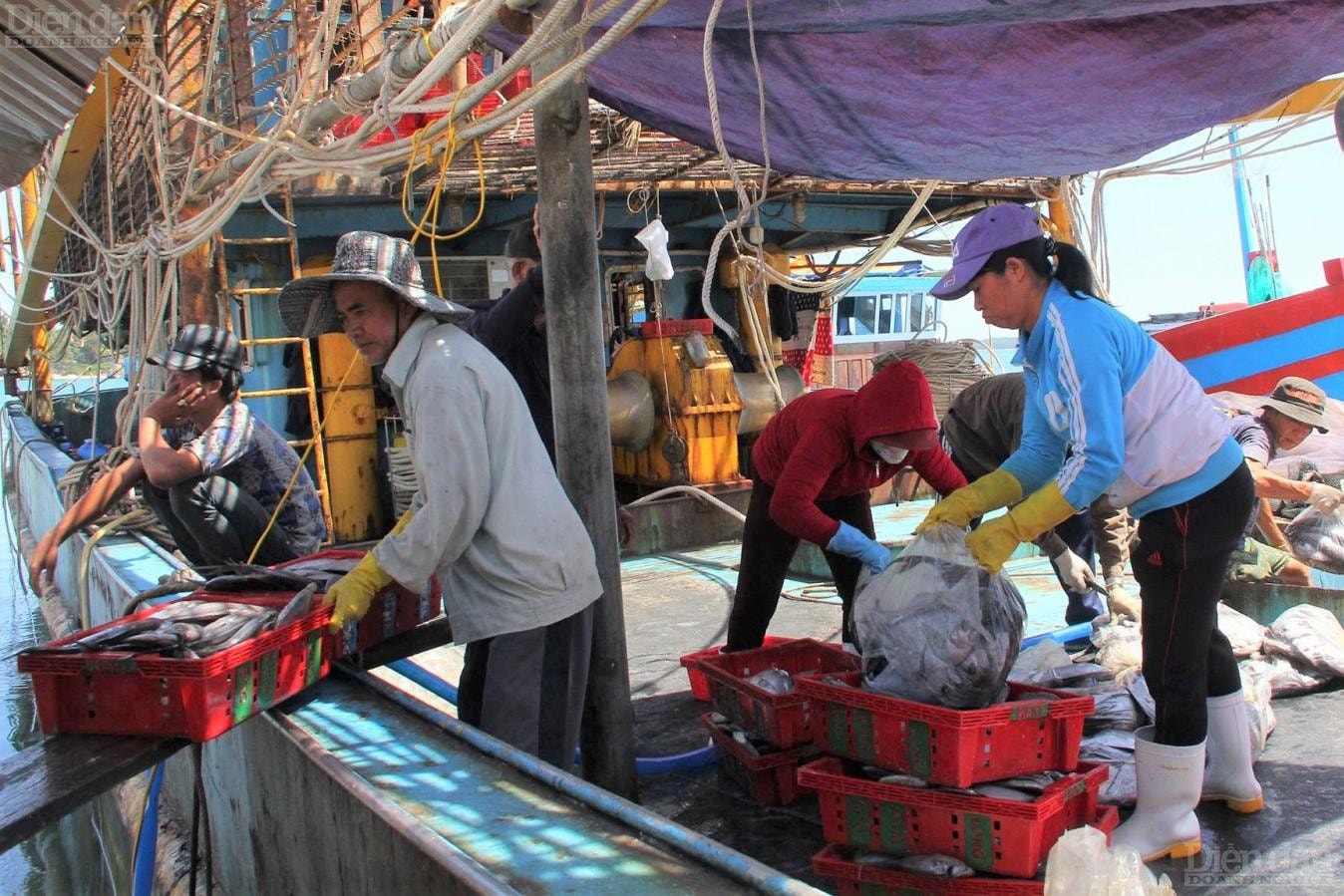 Ở khâu đánh bắt, cần tránh 