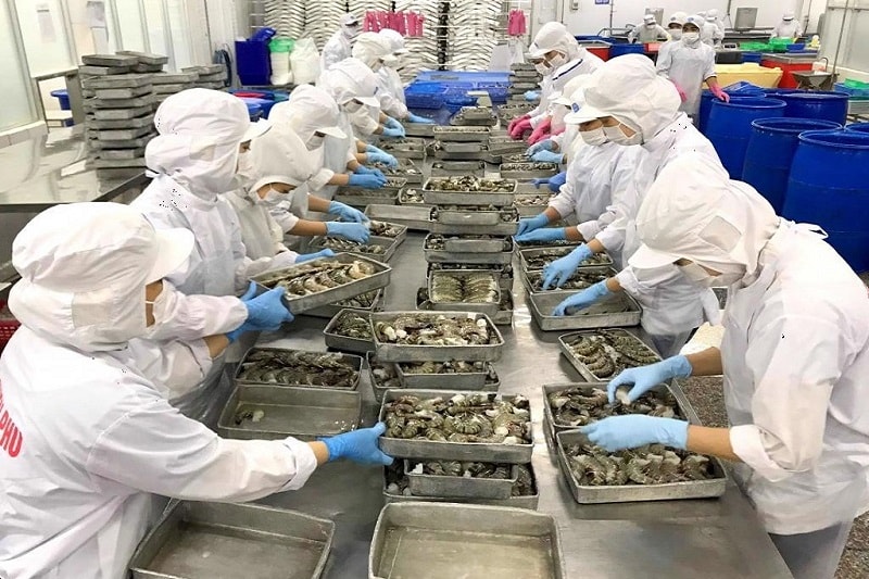 Để ngành chế biến thủy sản Việt Nam đạt mục tiêu như đề ra, cần nhiều hơn nữa sự cải cái, các phương án phù hợp thực tế để doanh nghiệ, ngư dân cùng thực hiện. (Ảnh: Đình Đại)