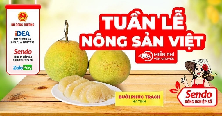 Bưởi Phúc Trạch (Hà Tĩnh).