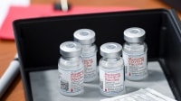 Lo ngại vaccine phòng COVID-19 nhiễm tạp chất lạ