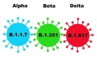 Thực hư hiệu quả vaccine chống COVID-19 trước biến chủng Delta?