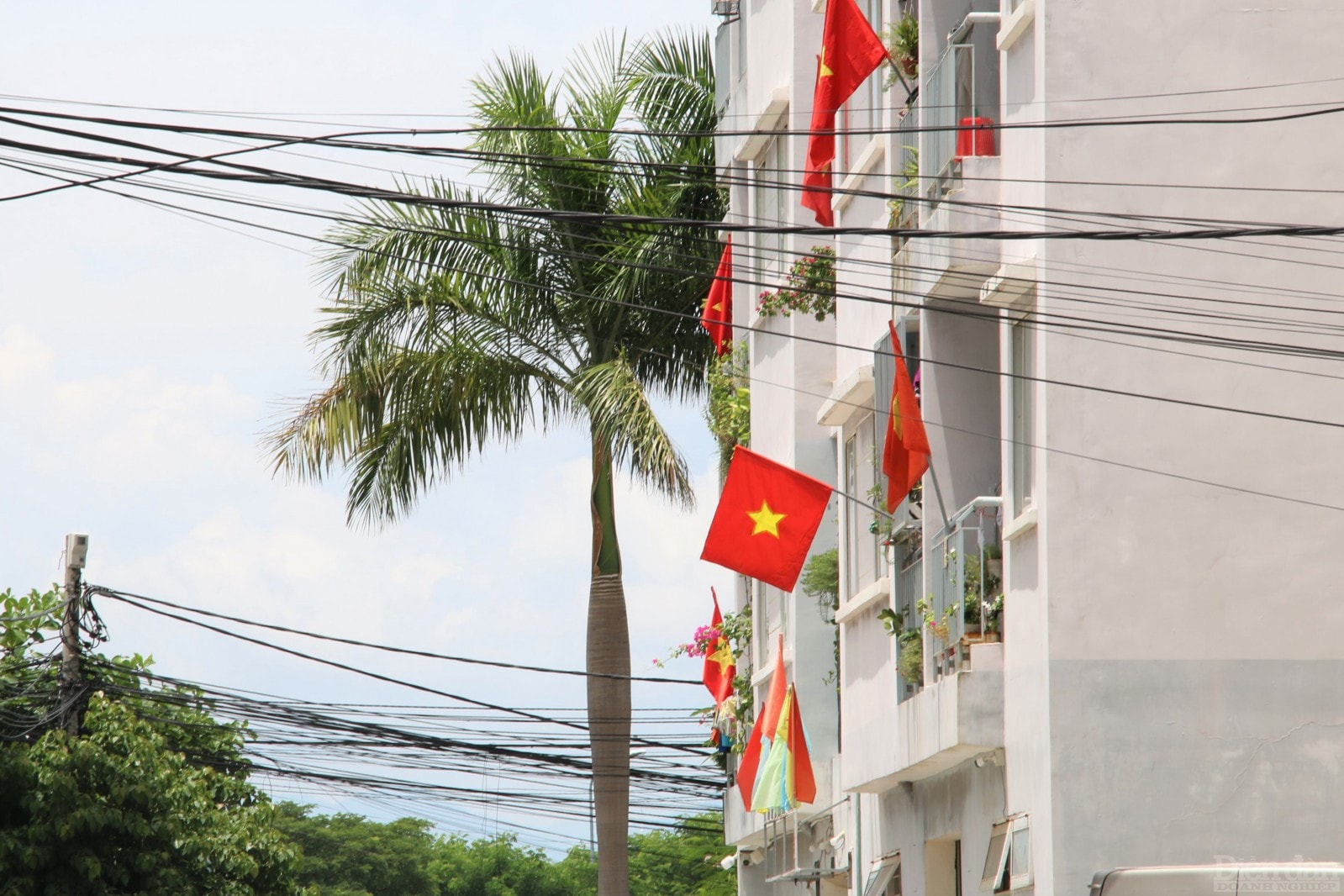 Trên các cơ sở kinh doanh.