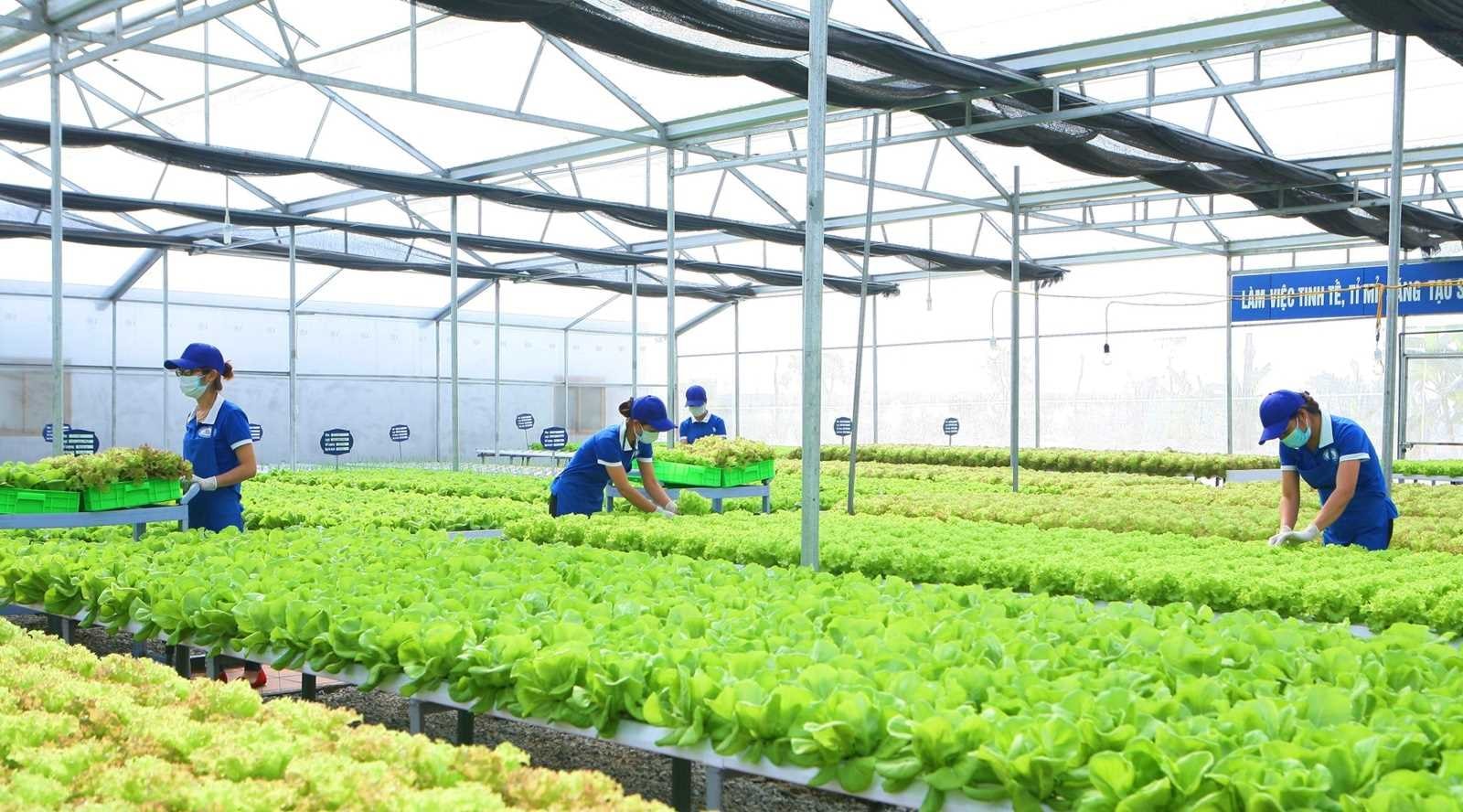 Tuân thủ triệt để 5K do Bộ Y tế khuyến cáo đã giúp Công ty CP 188, Quảng Ninh thích ứng thời cuộc, duy trì sản xuất, ổn định đời sống lao động.