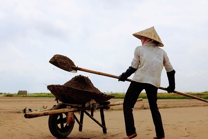 Phơi cát
