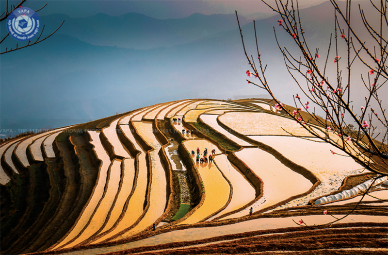 Huy chương bạc FIAP, TG: Phạm Pa Ri (VIET NAM) – Vụ xuân trên núi