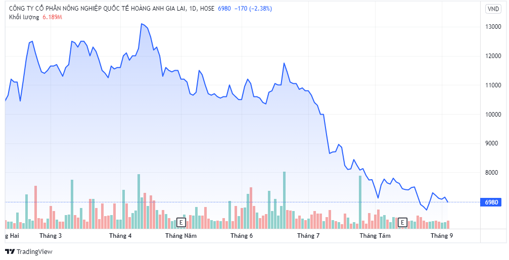 Cổ phiếu HNG liên tục sụt giảm không có điểm dừng 