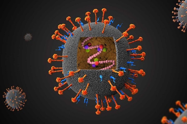 Virus Nipah