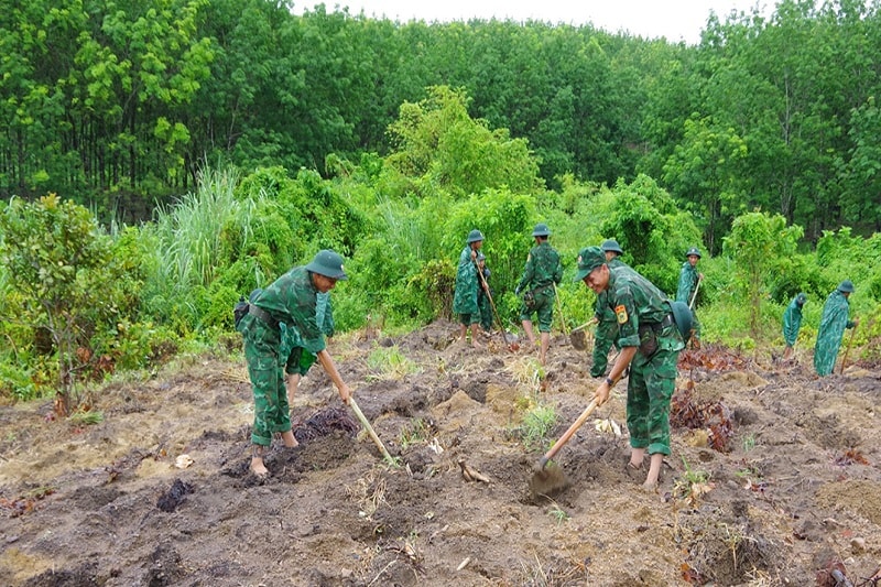 Sự thiếu đồng bộ giữa hai Luật dẫn đến khó khăn trong công tác thực hiện và áp dụng - Ảnh minh họa