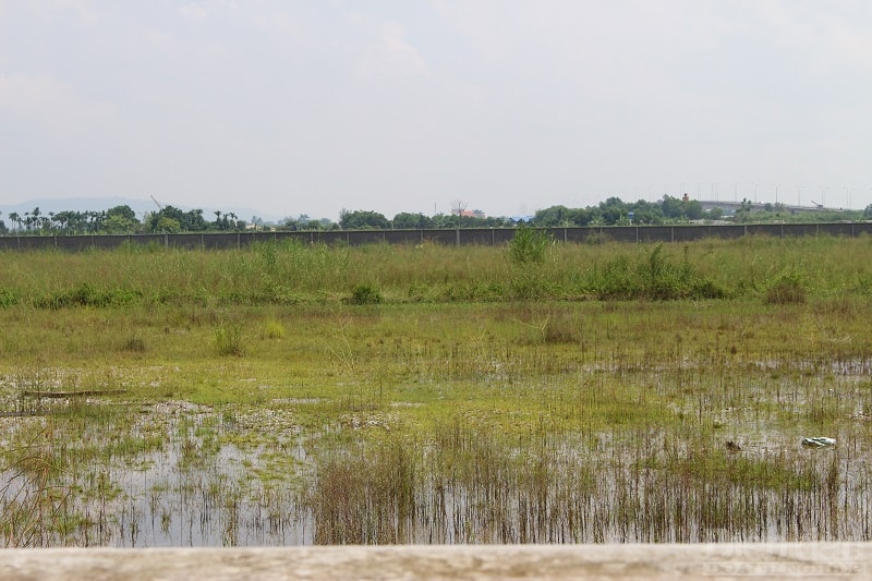 Cảnh hoang hoá bên trong dự án