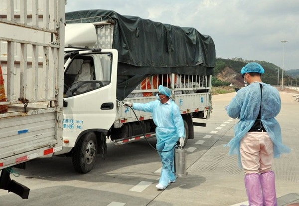 Theo thông báo của phía Đông Hưng, sau 23:00 ngày 21 tháng 9 năm 2021, mặt hàng thanh long sẽ tự động được khôi phục thông quan nhập khẩu qua địa điểm này. 