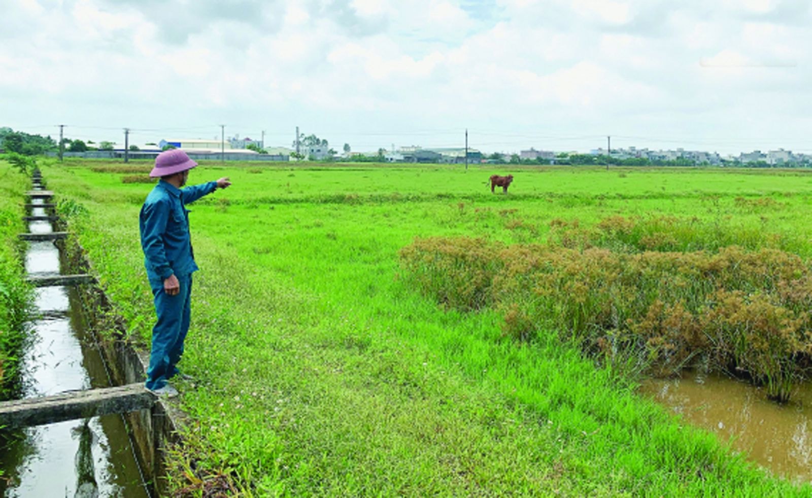 đất đai phải được sử dụng đúng mục đích, tiết kiệm, hiệu quả và bền vững;