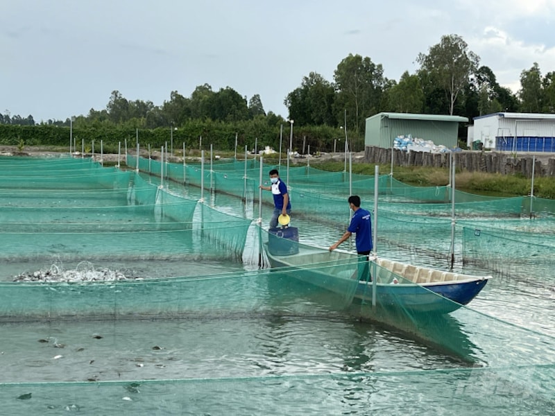 Rào cản của doanh nghiệp nằm ở việc thiếu nguồn lực, cơ sở hạ tầng kỹ thuật số, tài chính. 