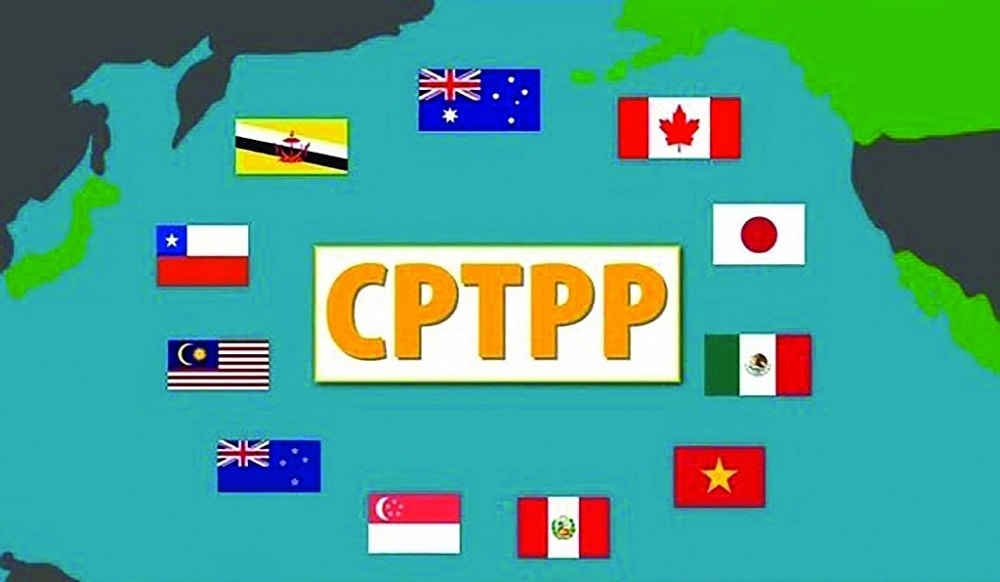 Việc Trung Quốc tham gia các hiệp định thương mại khu vực như RCEP hay CPTPP có thể giúp cải thiện thương mại khu vực. (Nguồn: China Daily)