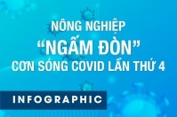 [Infographic] Nông nghiệp 