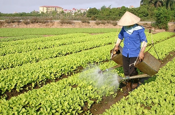 ép cấp ép giá đưa nông dân vào thế bí.