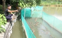 Ông chủ trẻ khởi nghiệp với mô hình VAC