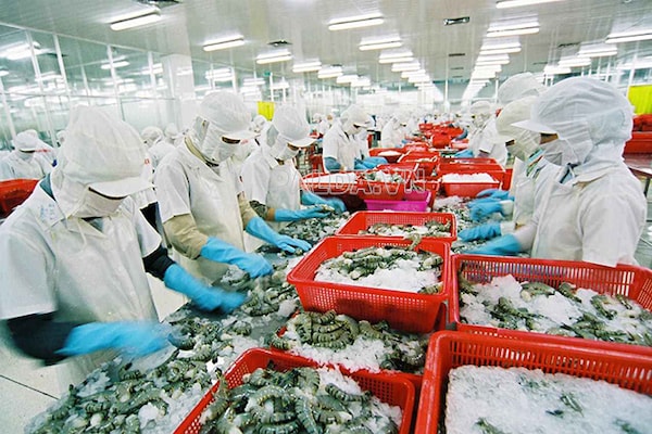 Chính phủ đã rất nỗ lực khi dành nhiều gói hỗ trợ tài khóa tiền tệ, giảm phí, lệ phí, giá... cho các doanh nghiệp. Tuy nhiên, cần xem xét tăng thêm quy mô, mở rộng thêm phạm vi bao phủ của các chính sách hỗ trợ. 