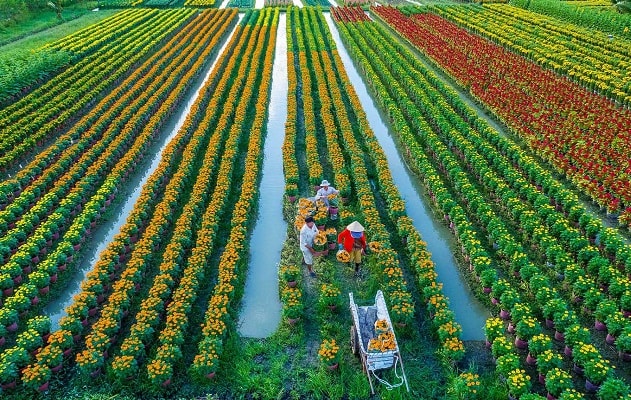 Điểm tồn tại lớn nhất đó là sản xuất nông nghiệp còn manh mún nhỏ lẻ.