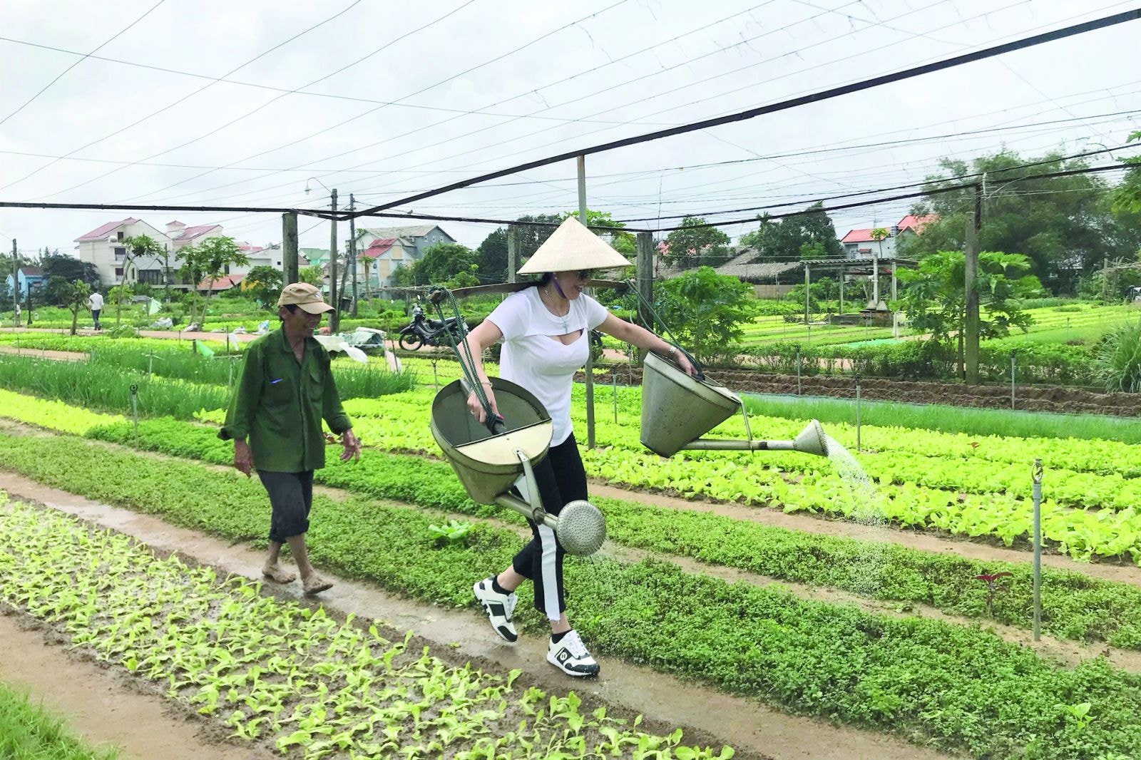  Xu thế du lịch xanh trong tương lai đã được Quảng Nam xác định rõ, góp phần làm mới ngành du lịch cũng như giảm tải cho các di sản đã bị khai thác triệt để.