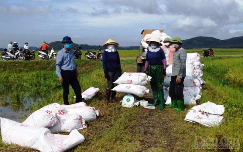 Đây là vụ Hè Thu được đánh giá thành công nhất trong vòng 13 năm qua