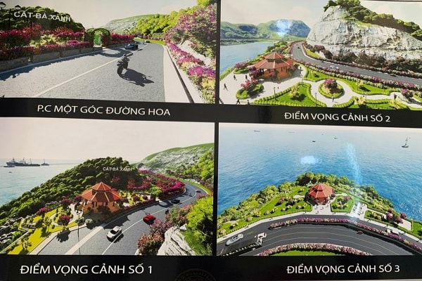 Từ cuối năm 2019, UBND huyện Cát Hải đã đầu tư 64 tỷ đồng trồng hoa giấy dọc 2 bên đường 356 và xây dựng 3 đồi vọng cảnh ven biển.