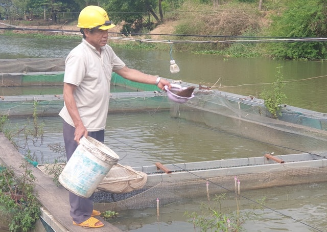 Ông Tống Văn Chung là người “thuần hóa” cá lăng trên dòng sông Serepok