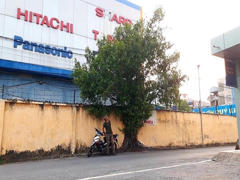 Anh Mạnh – Lái xe ôm trong bến xe Niệm Nghĩa chia sẻ, anh đã có 18 năm làm xe ôm, 12 năm ở bến xe Tam Bạc. Sau khi bến xe Tam Bạc giải tán lại xuống bến xe Niệm Nghĩa đã được 6 năm. Giờ anh lại tiếp tục rong ruổi tìm bến mới cho mình.