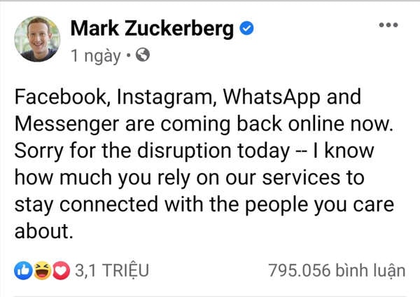 Mark dùng động từ 