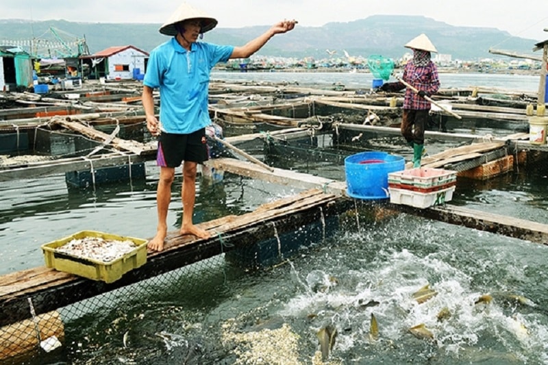 Các Hiệp hội cho rằng, Dự thảo Nghị định quy định chi tiết một số điều Luật Bảo vệ môi trường còn