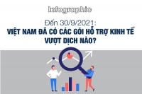 Infographic: Việt Nam đã có các gói hỗ trợ kinh tế vượt dịch nào?