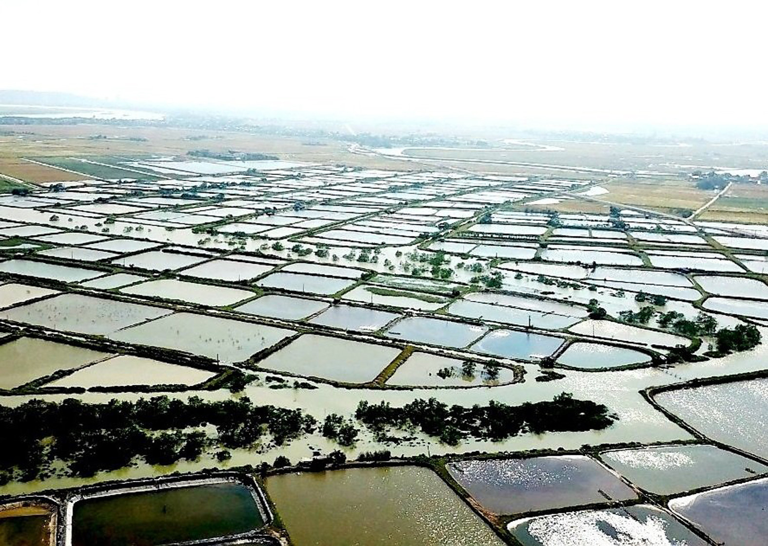 p/Hiện nay khu đất tại khu vực ven sông Lam thuộc xã Hưng Hoà, TP Vinh vẫn đang “án binh bất động”, chưa có chủ đầu tư nào triển khai thi công, xây dựng 