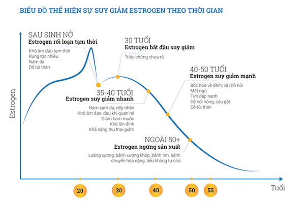 Sau tuổi 30, estrogen bắt đầu suy giảm khiến nhan sắc của phụ nữ phai tàn (Ảnh minh họa)