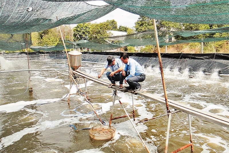 Các Hiệp hội cho rằng, việc xếp các cơ sở chế biến thủy sản vào “Danh mục loại hình sản xuất, dinh doanh, dịch vụ có nguy cơ gây ô nhiễm môi trường” ở mức độ 3 (Phụ lục 2) là chưa phù hợp - Ảnh minh họa